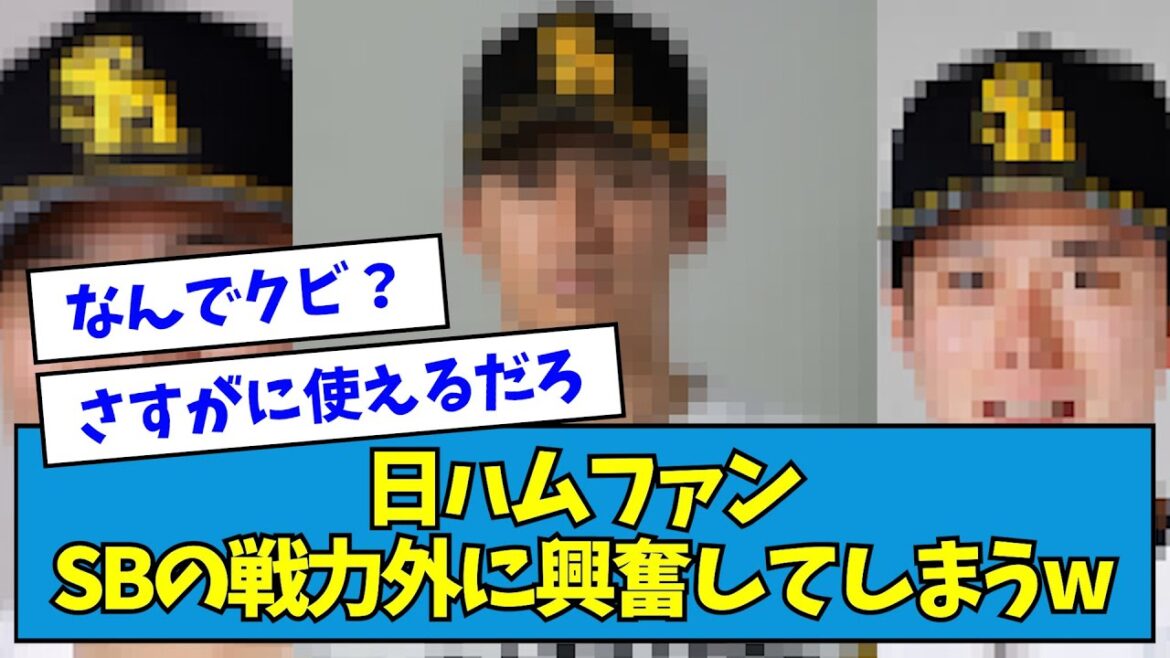 【まさか】日ハムファンSBの戦力外に興奮してしまうwwww【なんJ反応】