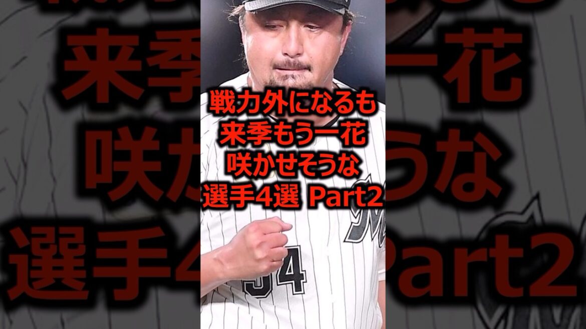 戦力外になるも来季もう一花咲かせそうな選手4選 Part2 #プロ野球 #千葉ロッテマリーンズ #澤村拓一