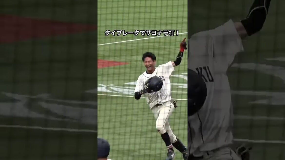 タイブレークでサヨナラ打！仲間と大喜び！国学院大・落合俊介（八王子）　#国学院大学 #大学野球 #東都大学野球 #戦国東都 #サヨナラ