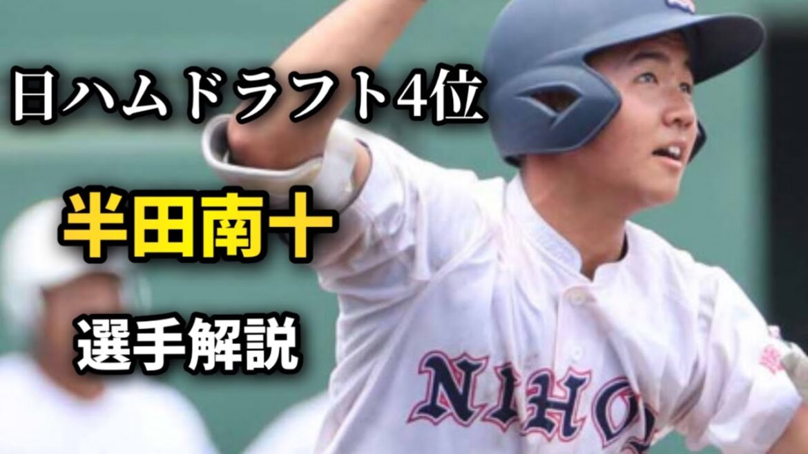 【ドラフト2025】日本ハムドラフト4位　半田南十　選手解説【北海道日本ハムファイターズ】