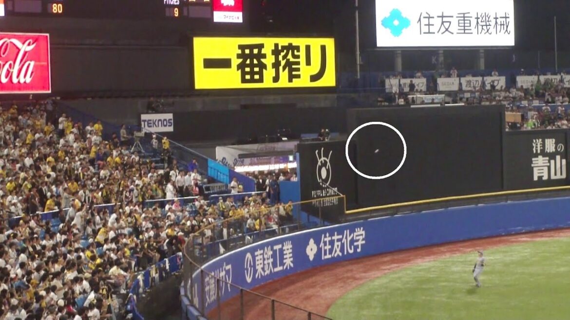ヤクルト 内山壮真 ツーベースヒット　ヤクルト vs 阪神　2025年9月22日(月)　神宮球場