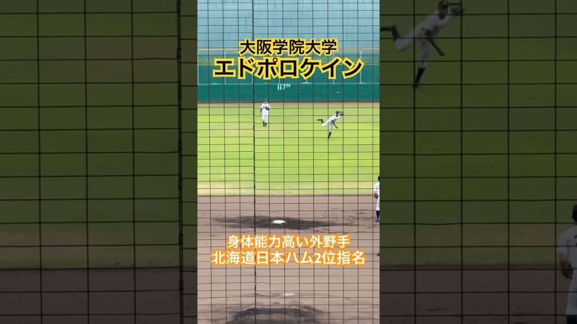 【北海道日本ハム2位指名】 #エドポロ #ドラフト #大学野球 #北海道日本ハムファイターズ