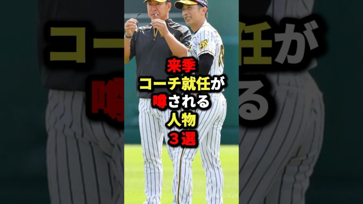 来季コーチ就任が噂される人物3選#プロ野球 #野球 #shorts