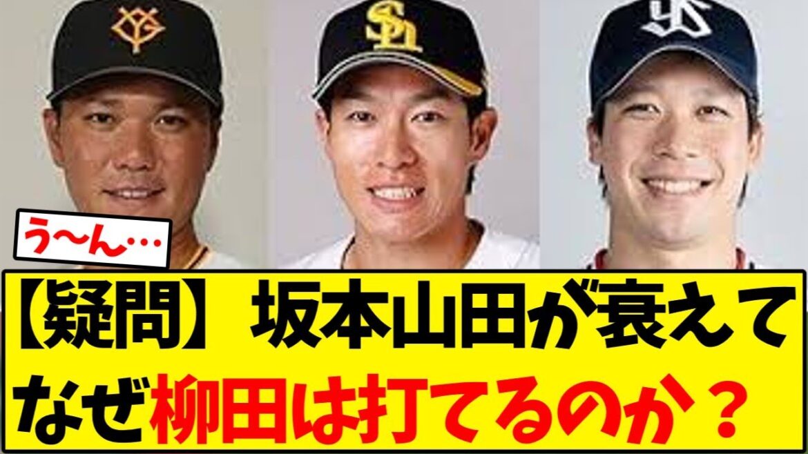 【ソフトバンク】【疑問】坂本、山田が衰えて柳田は何故打てるのか？【野球反応集】