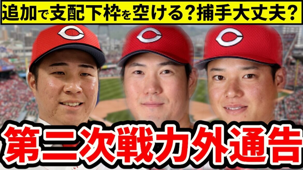 【戦力外】磯村・山足・韮澤に戦力外通告。追加で枠は空ける?捕手体制はどうなる?【広島東洋カープ】 【戦力外】磯村・山足・韮澤に戦力外通告。追加で枠は空ける?捕手体制はどうなる?【広島東洋カープ】