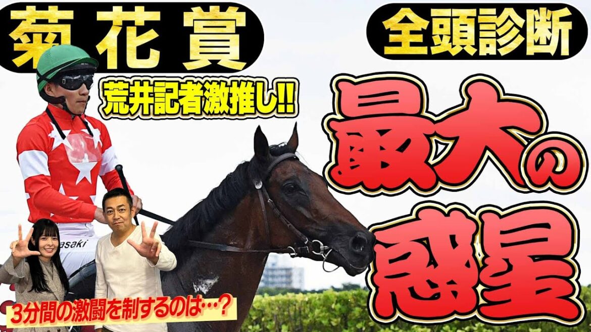 《東スポ競馬ニュース》【菊花賞2025】全頭診断！荒井記者激推しの『本当はS評価にしたい馬』とは！？競馬記者が解説します