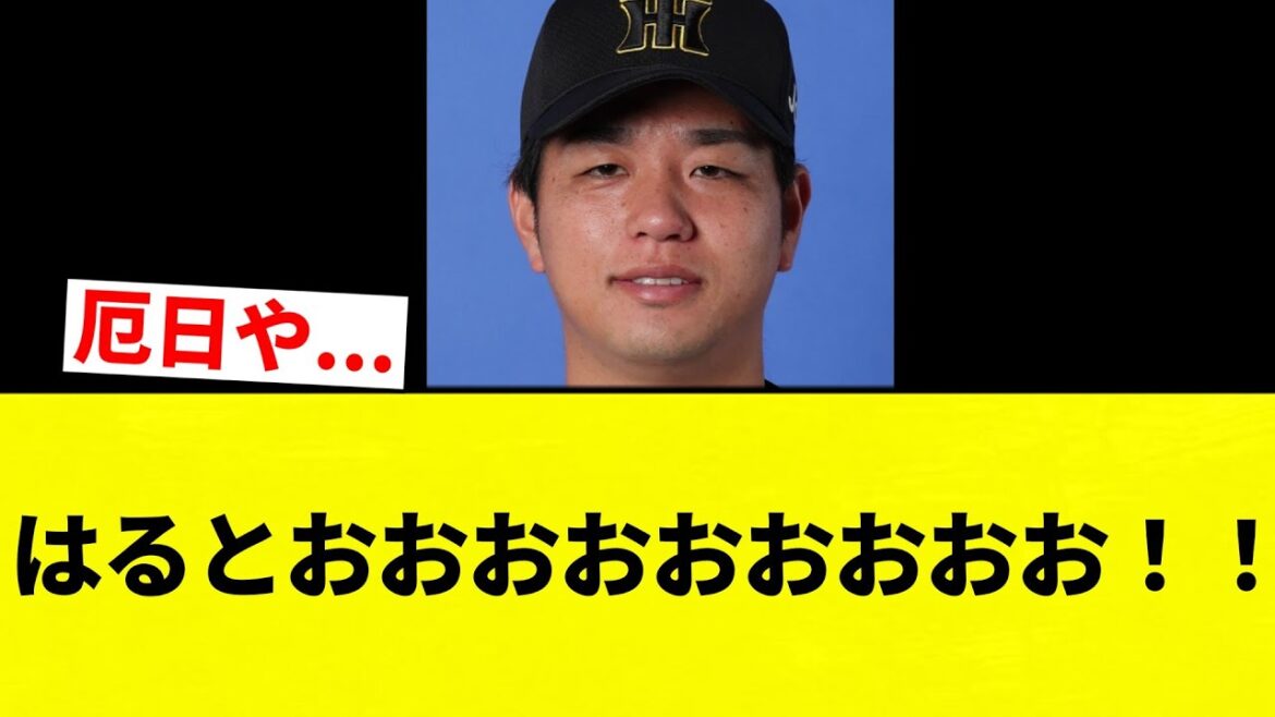 【厄日や...】はるとおおおおおおおおお！！【プロ野球反応集】【2chスレ】【なんG】