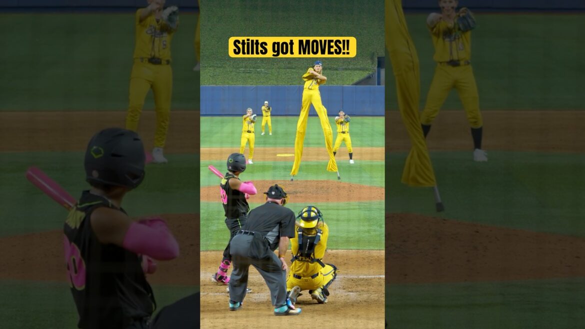 Stilts has some moves! #shorts#baseball#dance#bananaball#savannahbananabaseball #mlb#springtraining