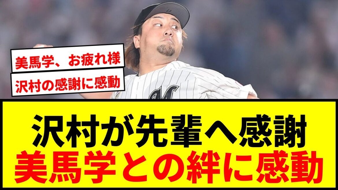 【感動】ロッテ・沢村拓一が引退表明の先輩・美馬学へ贈る感謝のメッセージ!「野球人生1番の幸運で財産」 【感動】ロッテ・沢村拓一が引退表明の先輩・美馬学へ贈る感謝のメッセージ!「野球人生1番の幸運で財産」