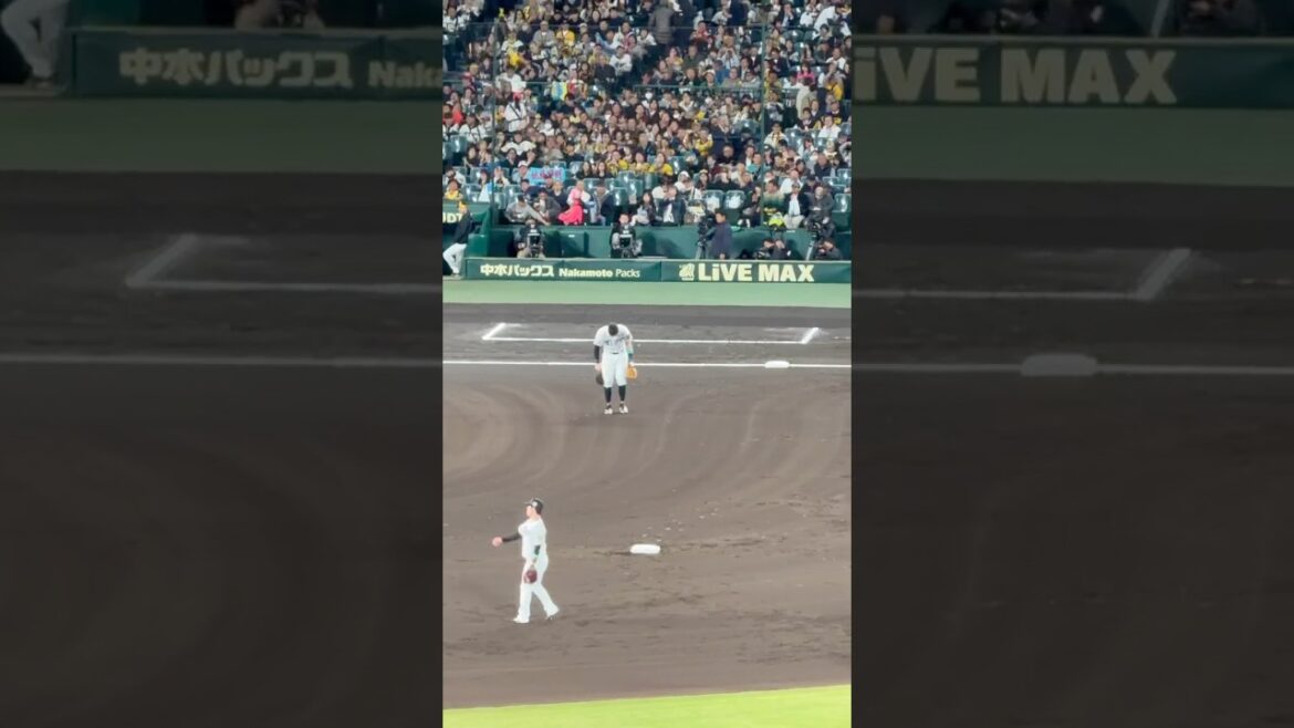 【3戦連続打点】先制タイムリーを放ちファマンの歓声に応える佐藤輝明 【3戦連続打点】先制タイムリーを放ちファマンの歓声に応える佐藤輝明