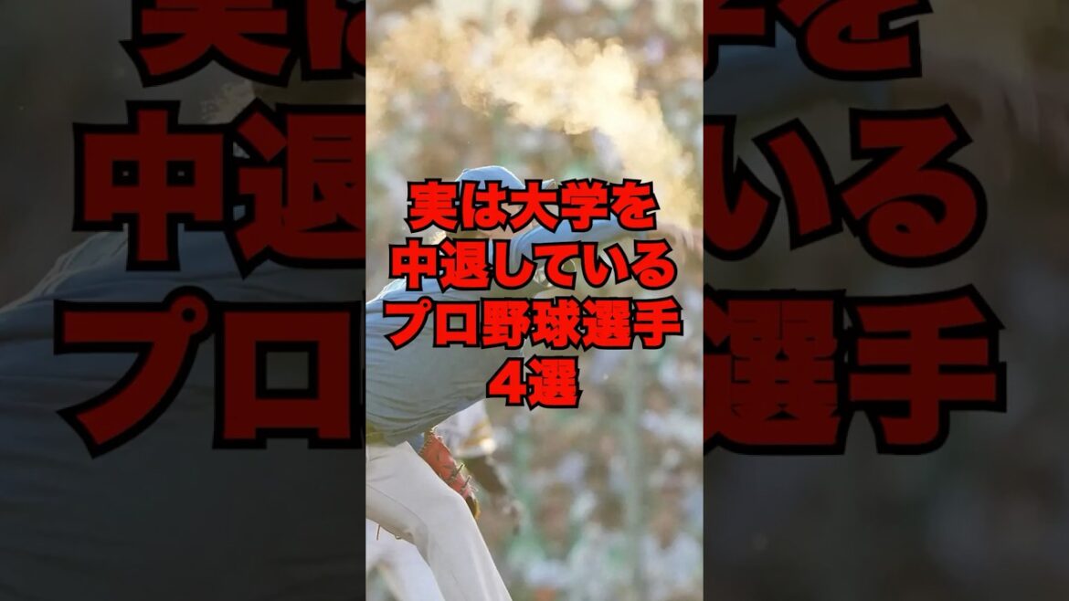 実は大学を中退しているプロ野球選手4選　#プロ野球 #大学中退　#伊藤大海