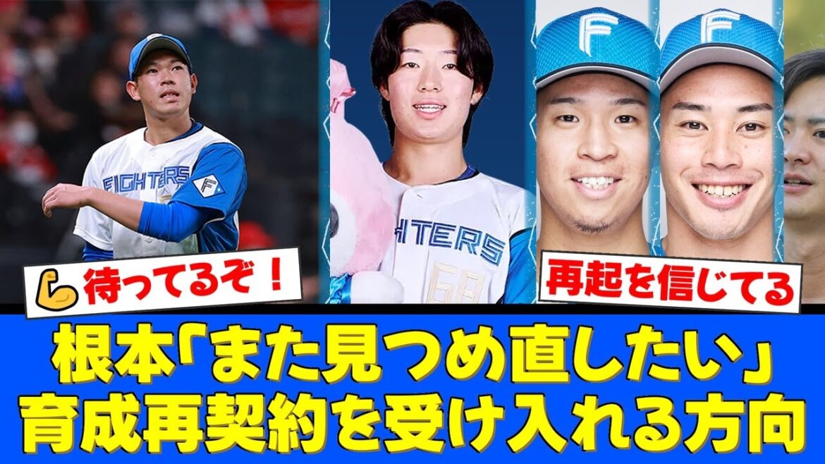 日本ハム、侍ジャパン選出の根本悠楓ら5選手に戦力外通告。しかし4選手には育成再契約を打診。選手たちの覚悟とファンからの温かいエールまとめ。【プロ野球ファンの反応】