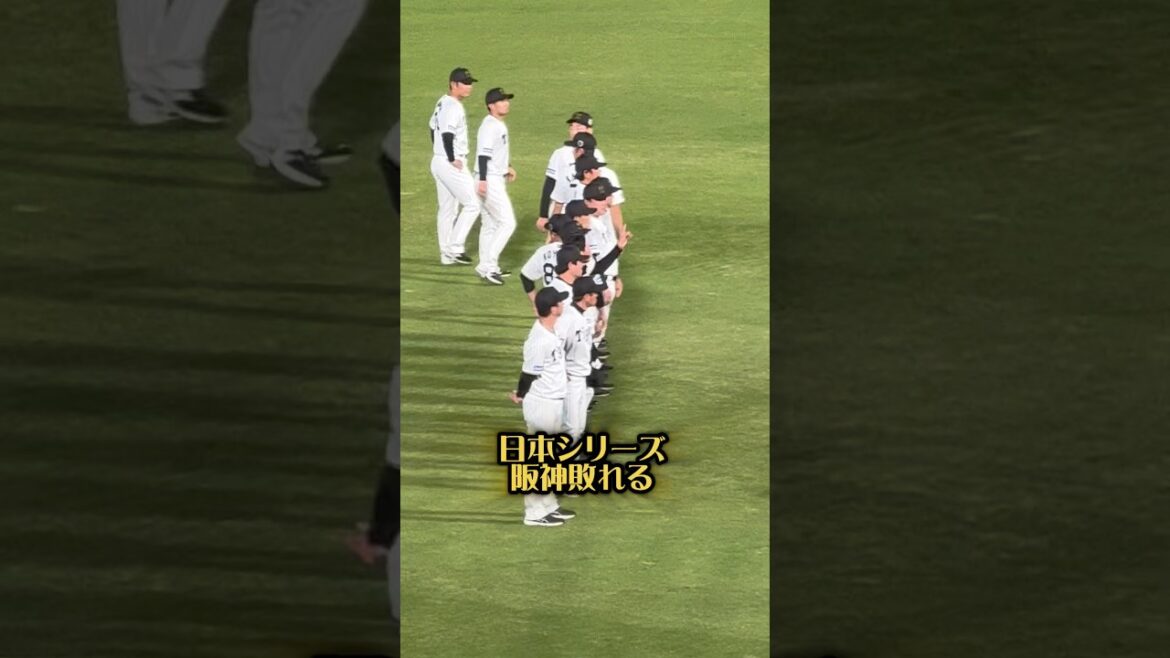 日本シリーズ、阪神敗退25/10/30  #阪神 #阪神ファン #阪神タイガース #原口文仁 #甲子園 #プロ野球 #日本シリーズ #hanshintigers #野球