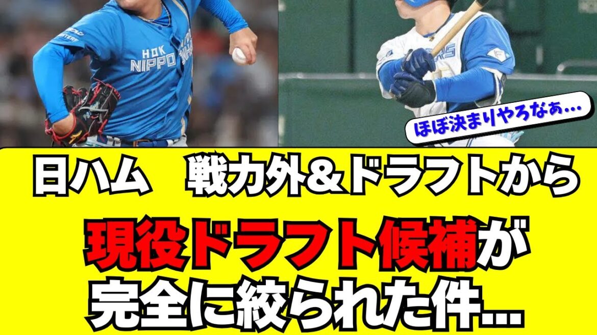 【日ハム】戦力外＆ドラフトで現役ドラフト候補が絞られた件