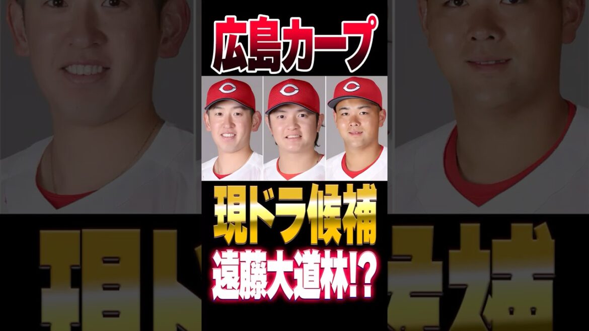 広島カープの現役ドラフト候補は誰？遠藤淳志 大道温貴 林晃汰らが候補か？#カープ #現役ドラフト #広島