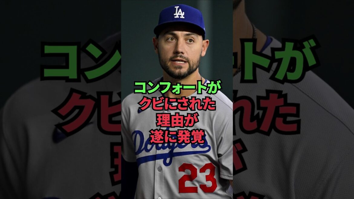 コンフォートがクビにされた理由が遂に発覚
