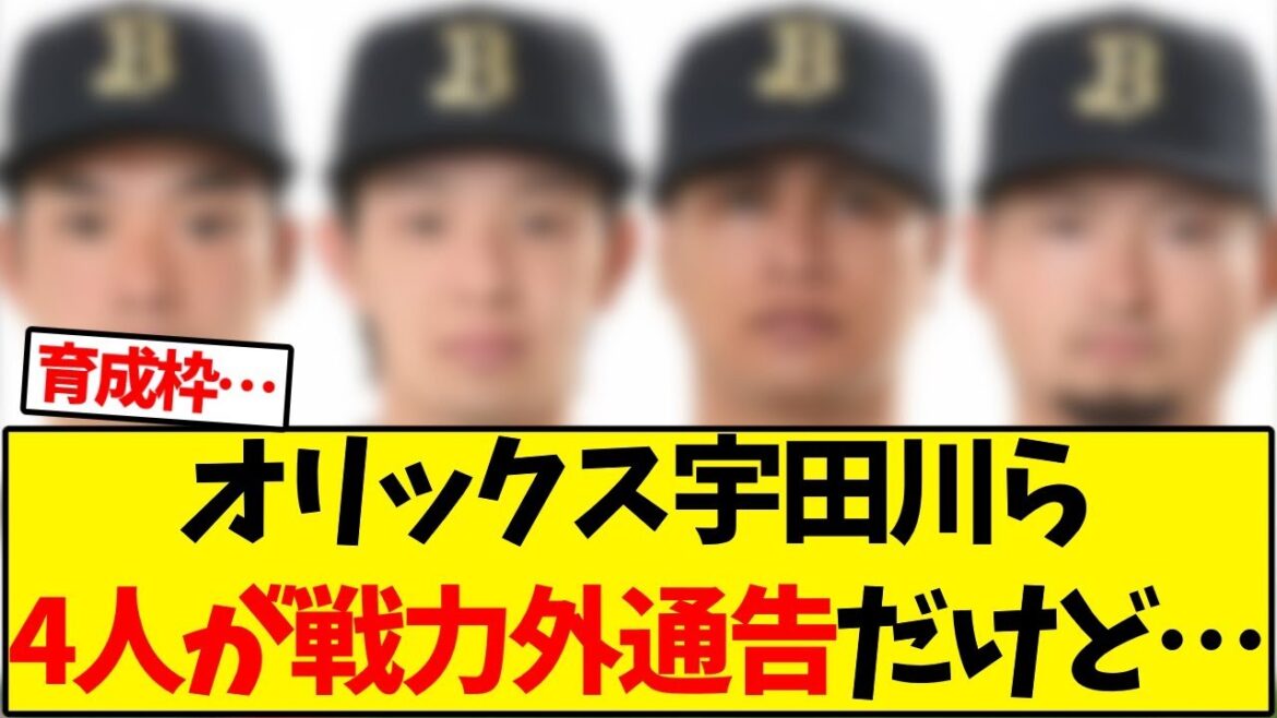 【オリックス】宇田川ら4人が戦力外通告だけど…【野球反応集】