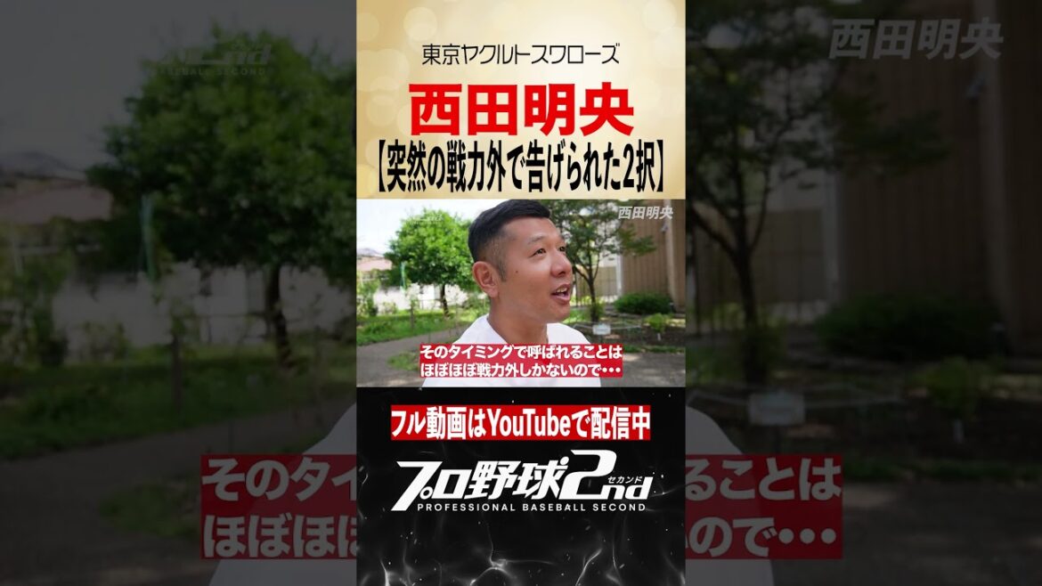 突然の戦力外で告げられた究極の2択|西田明央の野球人生(東京ヤクルトスワローズ)#swallows 突然の戦力外で告げられた究極の2択|西田明央の野球人生(東京ヤクルトスワローズ)#swallows