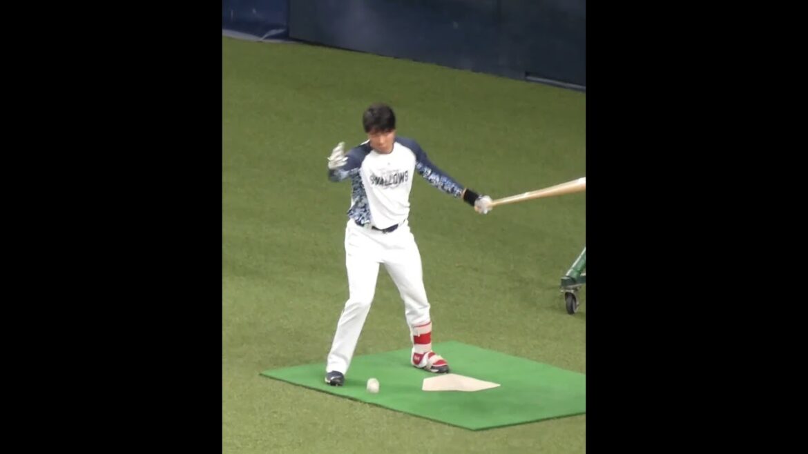 松本 直樹　'24シーズン打撃開眼　#東京ヤクルトスワローズ #shorts