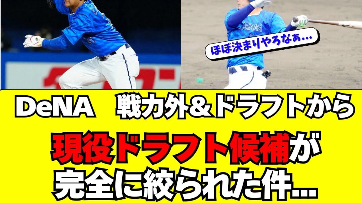【DeNA】戦力外＆ドラフトで現役ドラフト候補が絞られた件