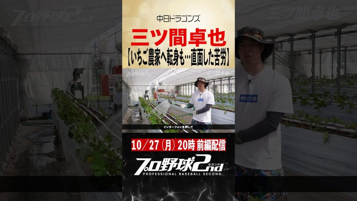 【予告】いちご農家転身も…元プロ野球選手が直面した悲しい現実|三ツ間卓也の現在(中日ドラゴンズ)#dragons 【予告】いちご農家転身も…元プロ野球選手が直面した悲しい現実|三ツ間卓也の現在(中日ドラゴンズ)#dragons
