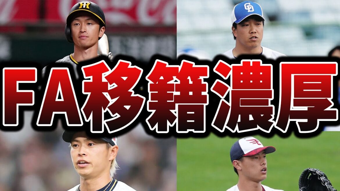 【2025】今シーズンオフ、FA移籍しそうな選手たち 【2025】今シーズンオフ、FA移籍しそうな選手たち