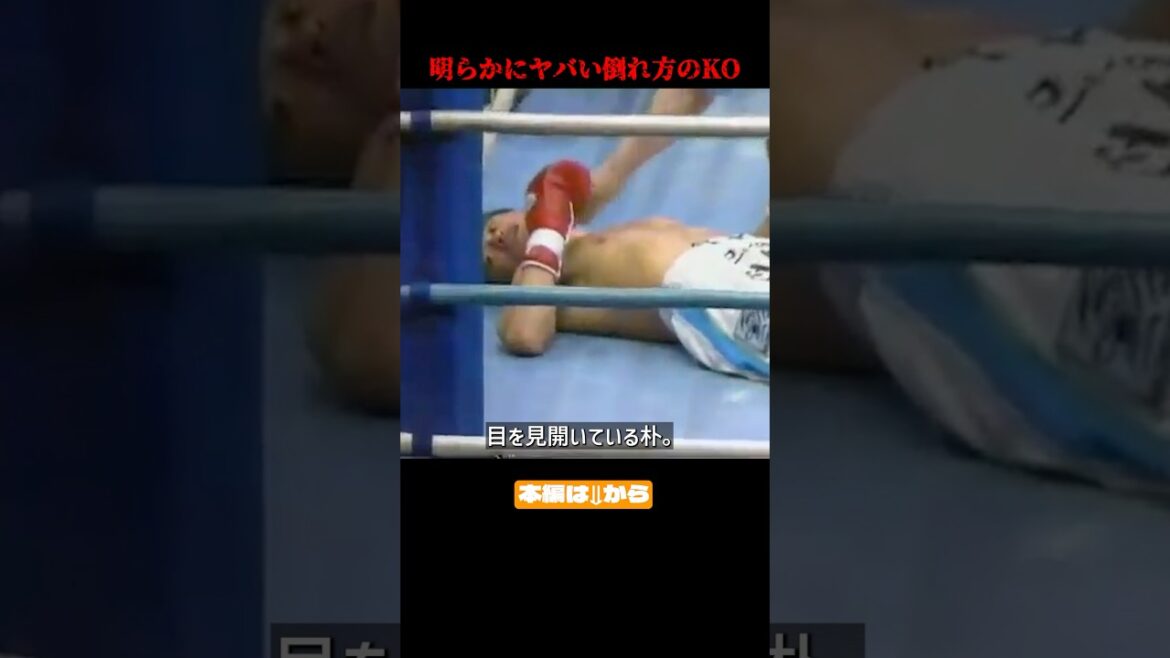 畑山が韓国人ボクサーを白目失神KOした瞬間 #格闘技 #ボクシング 畑山が韓国人ボクサーを白目失神KOした瞬間 #格闘技 #ボクシング