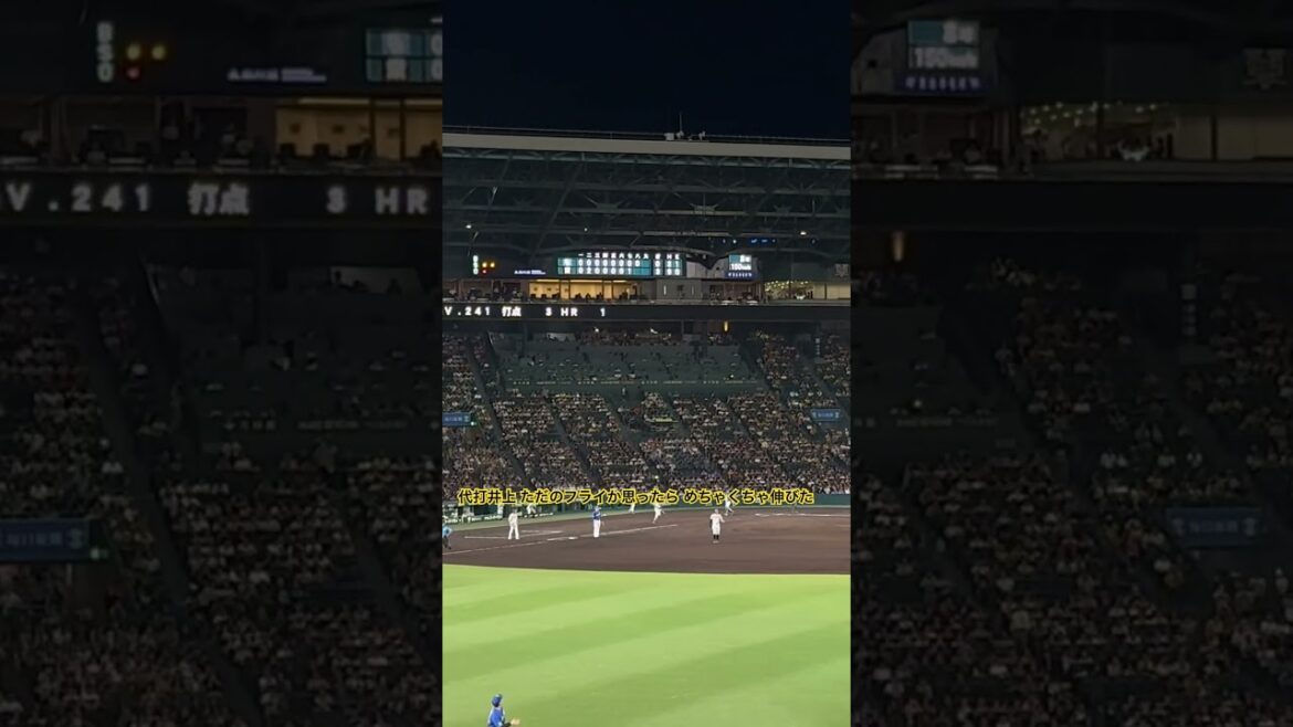 #井上広大  右京の代打で登場しフライを打ち上げるも風に押される #阪神タイガース #甲子園
