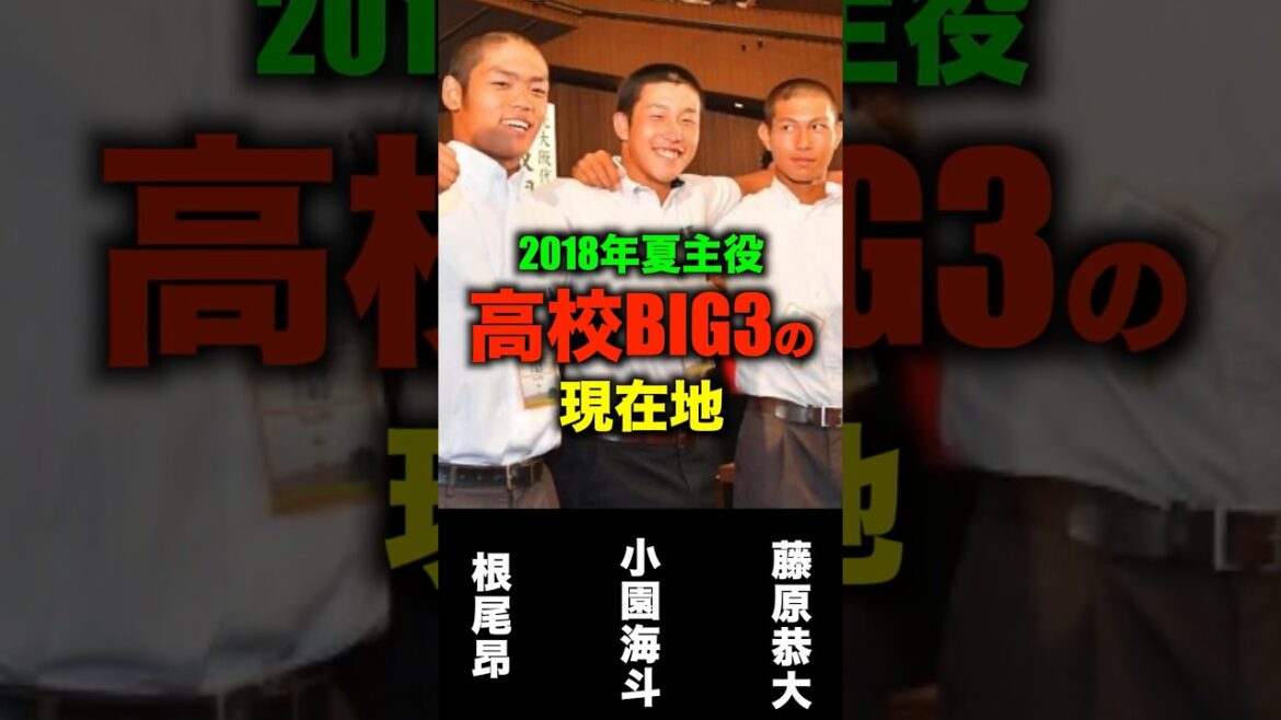 高校BIG3根尾昂,小園海斗,藤原恭大のプロ成績の比較#shorts #甲子園