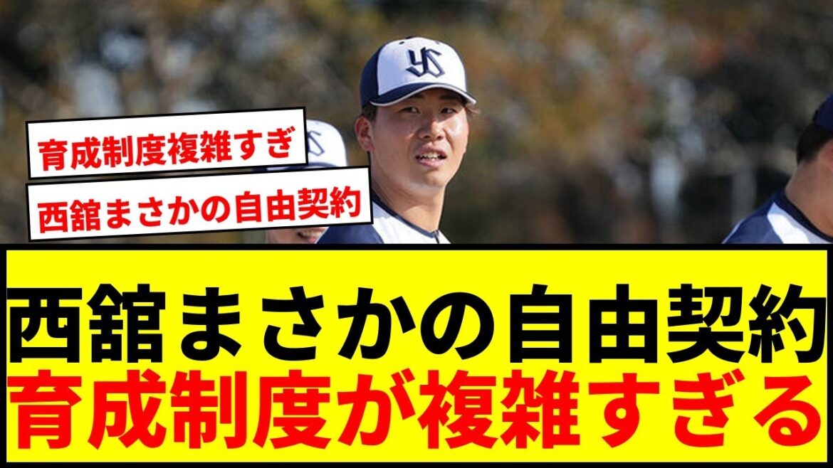 【速報】ヤクルト西舘、阪神森木ら125名が自由契約に!育成選手制度の複雑さにファン困惑 【速報】ヤクルト西舘、阪神森木ら125名が自由契約に!育成選手制度の複雑さにファン困惑