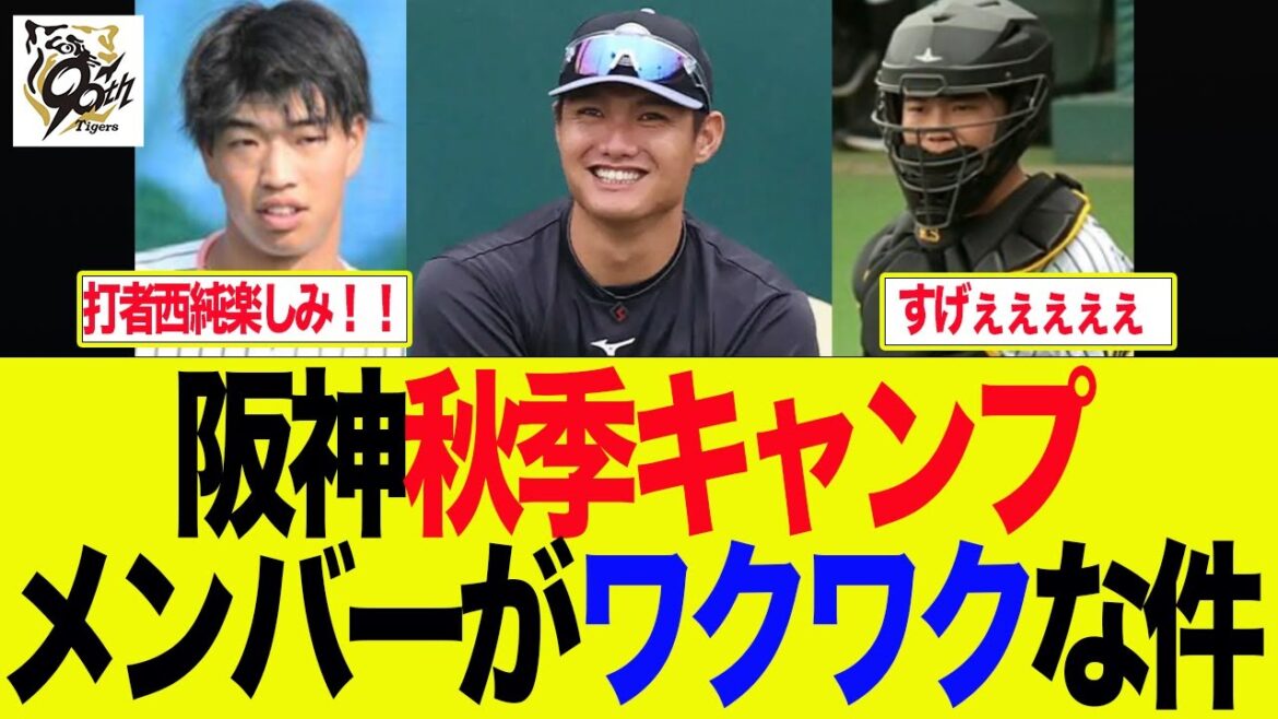 【阪神】阪神秋季キャンプメンバーがワクワクな件　阪神ファンの反応集