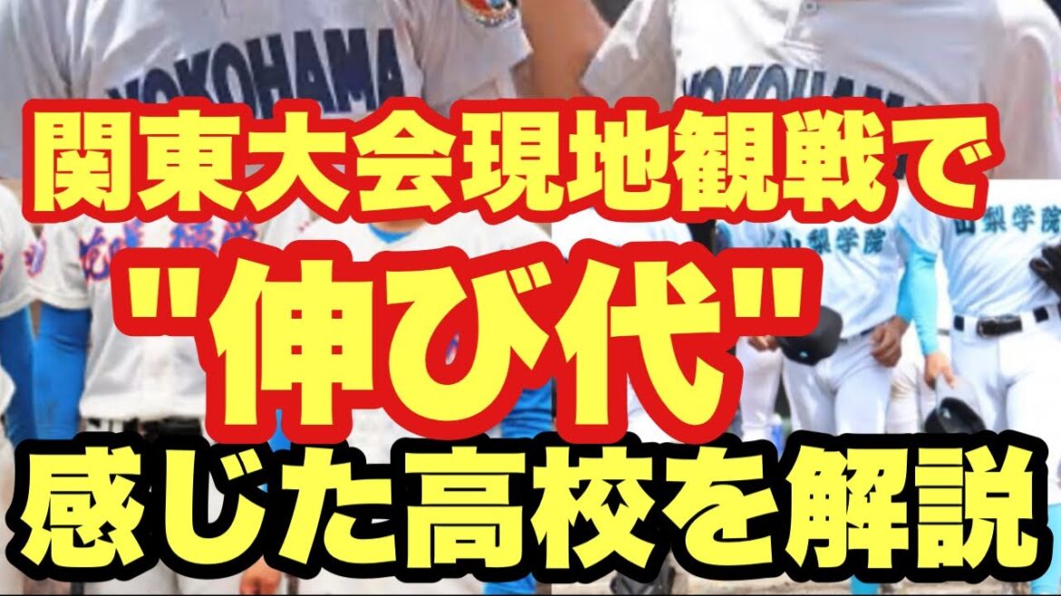 【高校野球】秋の関東大会を現地で見て"伸び代"を感じた高校ランキング❗️
