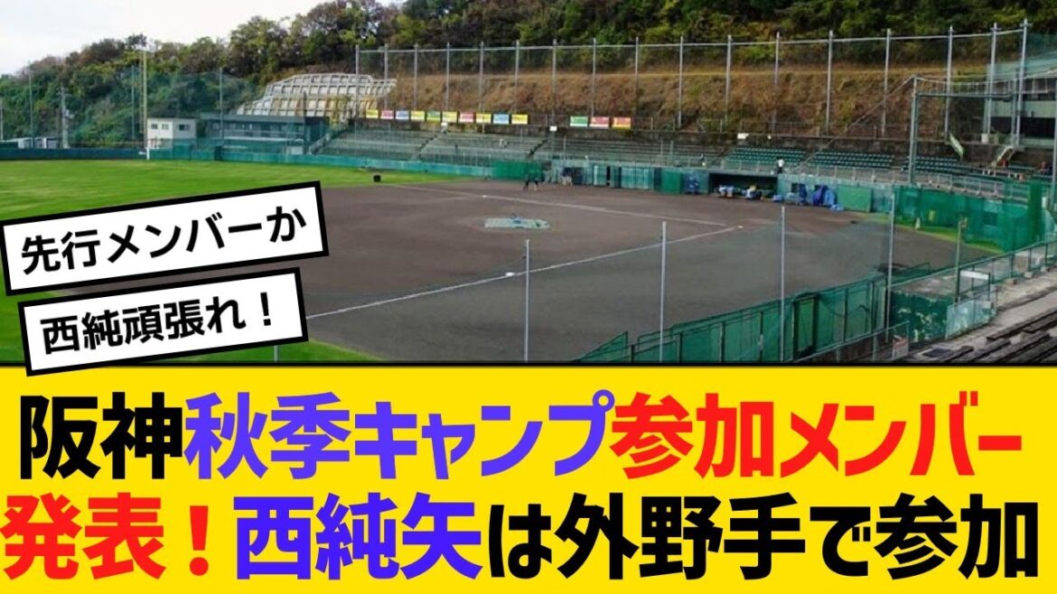 阪神秋季キャンプ参加メンバー発表!西純矢は外野手でメンバー入り【野球】【反応】【考察】 阪神秋季キャンプ参加メンバー発表!西純矢は外野手でメンバー入り【野球】【反応】【考察】