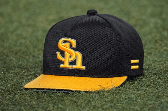 鷹が”中学硬式チーム”設立を発表 登録名は「福岡玄界灘ボーイズ」…来春活動開始へ向け新1年生募集 | Full-Count 鷹が"中学硬式チーム"設立を発表 登録名は「福岡玄界灘ボーイズ」…来春活動開始へ向け新1年生募集 | Full-Count