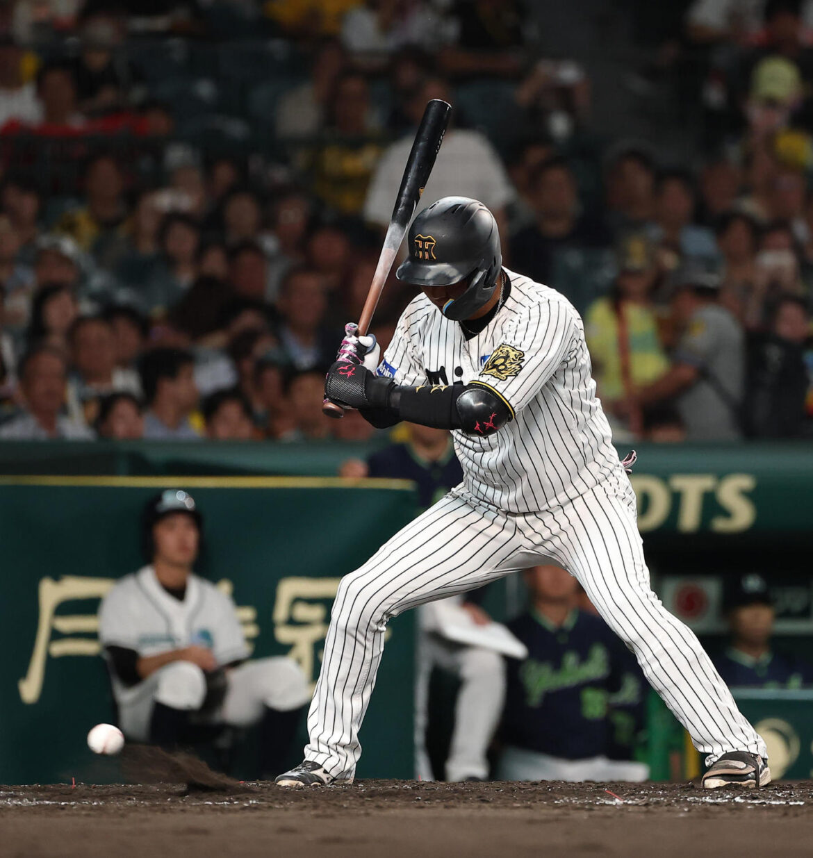 【阪神】大山悠輔が青柳から３打席連続四球でセ出塁率単独トップに！巨人泉口を「７毛差」上回る（日刊スポーツ） - Yahoo!ニュース - Yahoo!ニュース