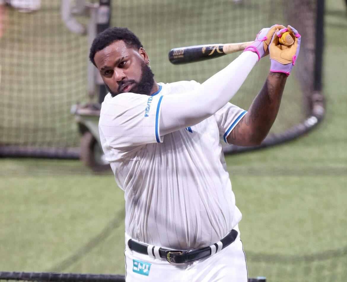 【日本ハム】「ずっとファイターズにいたい。何があっても日本で引退」レイエスがシーズン総括（日刊スポーツ） - Yahoo!ニュース - Yahoo!ニュース