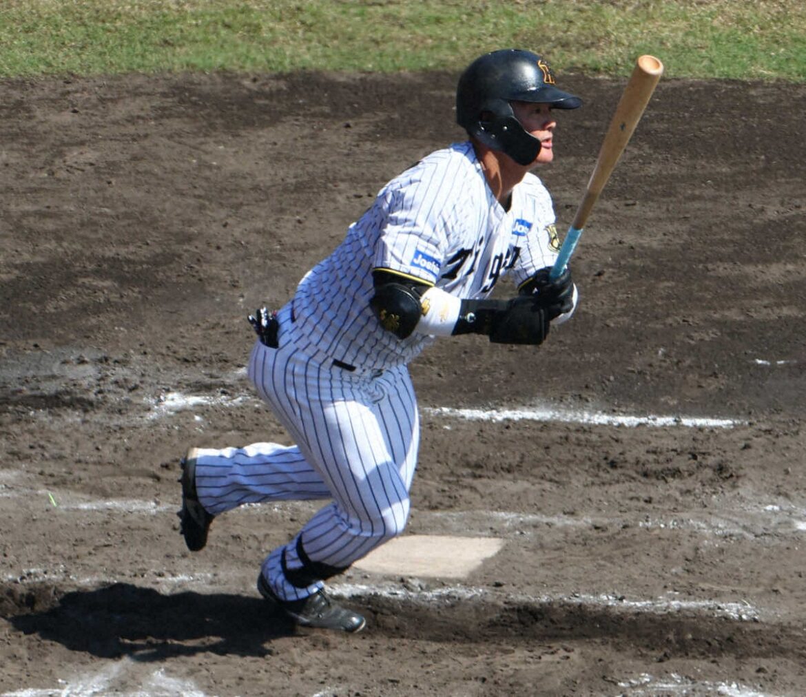 阪神は中日と引き分け 楠本泰史が代打で適時打、前川右京は2安打、高寺望夢は3打点の活躍（スポニチアネックス） - Yahoo!ニュース - Yahoo!ニュース