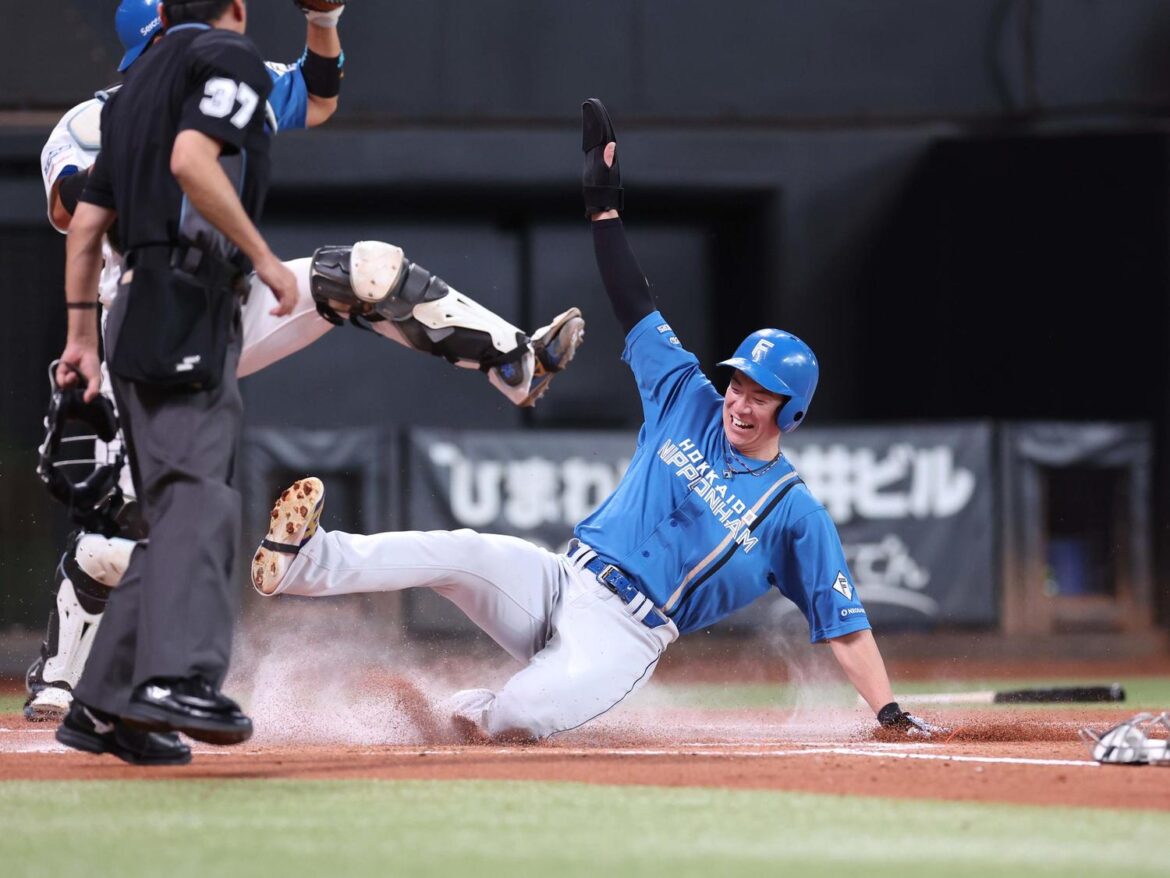 【日本ハム】新庄監督「選手達は本当に幸せですね！！」平日昼開始の紅白戦で観客１万4000人（日刊スポーツ） - Yahoo!ニュース - Yahoo!ニュース