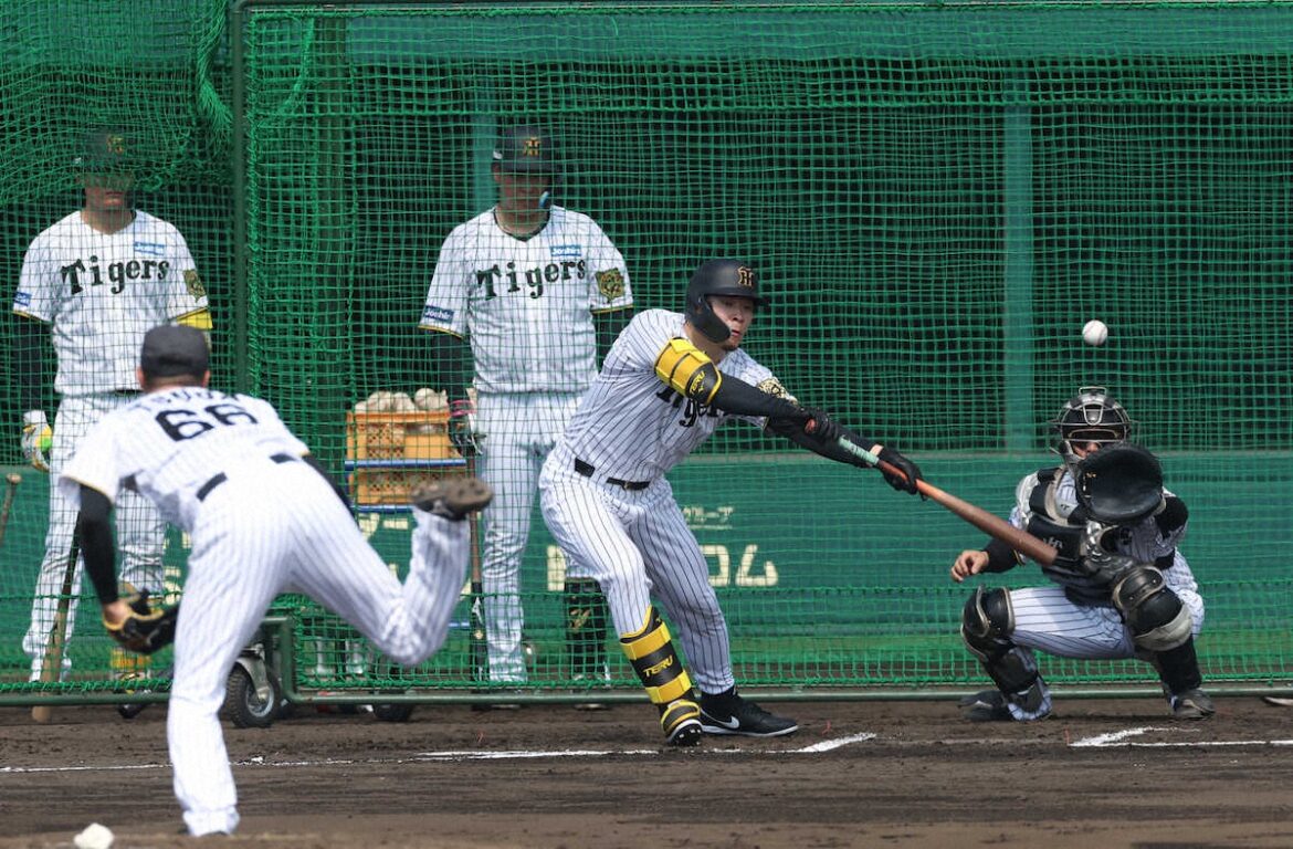 阪神・佐藤輝明&森下翔太がバント練習! ともにキャリア犠打「0」も…短期決戦へ“秘策”準備抜かりなし(スポニチアネックス) – Yahoo!ニュース – Yahoo!ニュース 阪神・佐藤輝明&森下翔太がバント練習! ともにキャリア犠打「0」も…短期決戦へ“秘策”準備抜かりなし(スポニチアネックス) - Yahoo!ニュース - Yahoo!ニュース