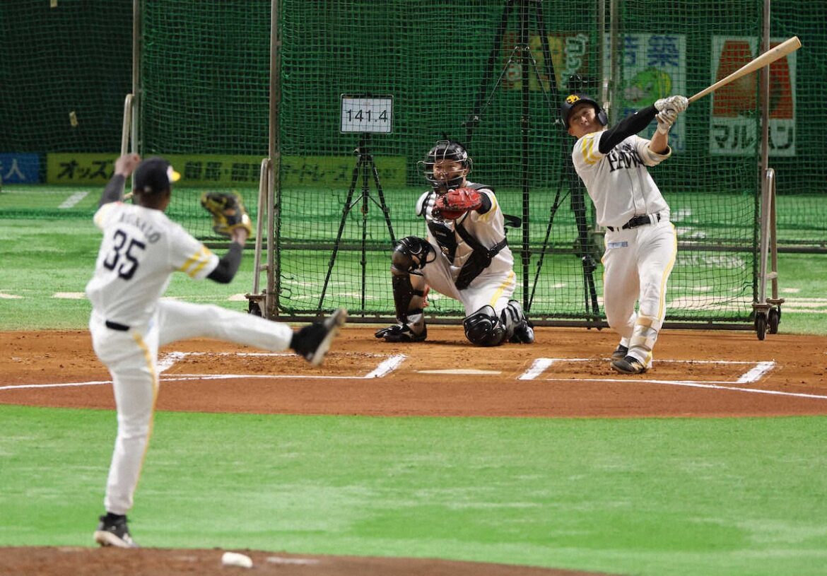 ソフトバンク 野村勇が開眼!!ライブBPで「モイネロの球、初めて見えた」成長を実感（スポニチアネックス） - Yahoo!ニュース - Yahoo!ニュース