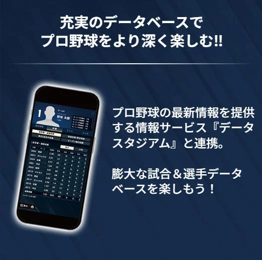プロ野球の選手データや成績を閲覧できるデータベース画面