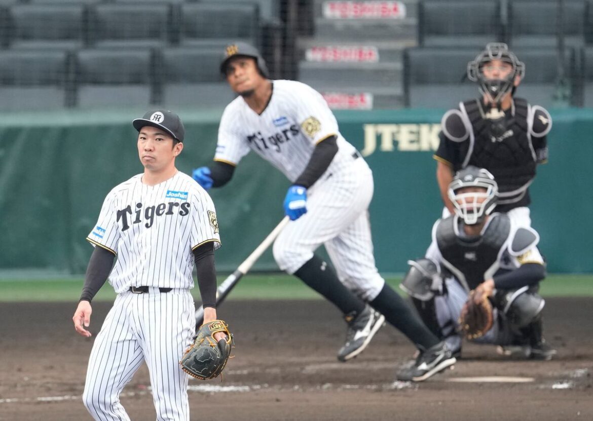 阪神・石井大智、CSハマ倒へ厄払い完了 〝50イニングぶり失点〟で「無失点記録が途絶えてしまいました」(サンケイスポーツ) – Yahoo!ニュース – Yahoo!ニュース 阪神・石井大智、CSハマ倒へ厄払い完了 〝50イニングぶり失点〟で「無失点記録が途絶えてしまいました」(サンケイスポーツ) - Yahoo!ニュース - Yahoo!ニュース