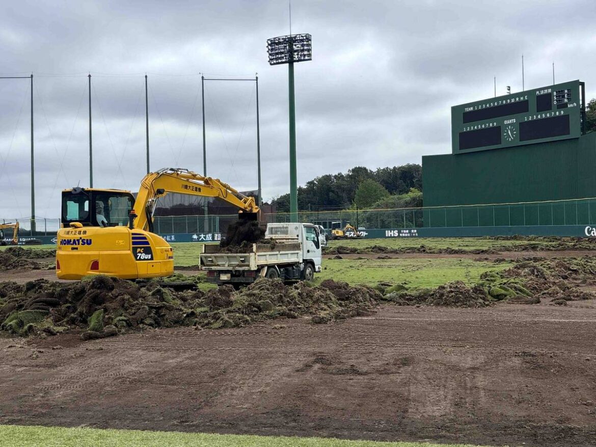 1985年開場以来初めての天然芝張り替え始まる…プロ野球・巨人のファームが使用するジャイアンツ球場(スポーツ報知) – Yahoo!ニュース – Yahoo!ニュース 1985年開場以来初めての天然芝張り替え始まる…プロ野球・巨人のファームが使用するジャイアンツ球場(スポーツ報知) - Yahoo!ニュース - Yahoo!ニュース
