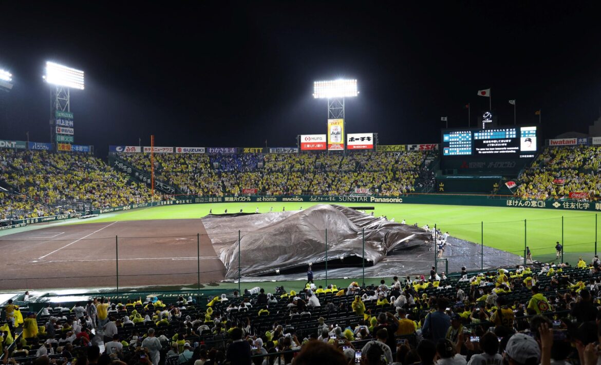 阪神－ＤｅＮＡ 降雨で４７分試合中断 ２０時２７分、五回裏から試合再開（デイリースポーツ） - Yahoo!ニュース - Yahoo!ニュース
