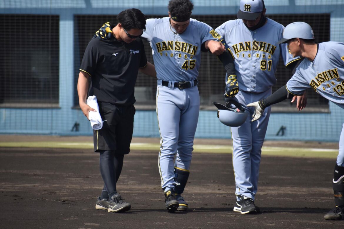 阪神 佐野が死球で途中交代 フェニックスリーグ・オリックス戦で東松の直球が左太ももに直撃(デイリースポーツ) – Yahoo!ニュース – Yahoo!ニュース 阪神 佐野が死球で途中交代 フェニックスリーグ・オリックス戦で東松の直球が左太ももに直撃(デイリースポーツ) - Yahoo!ニュース - Yahoo!ニュース