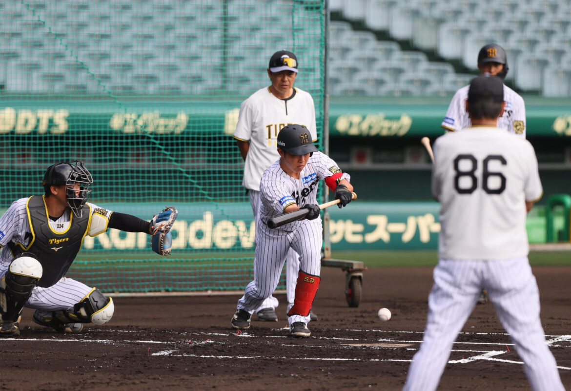 【阪神】21歳中川勇斗が球団野手最年少スタメンへ「いったるしかないでしょ」日本シリーズへ気合（日刊スポーツ） - Yahoo!ニュース - Yahoo!ニュース