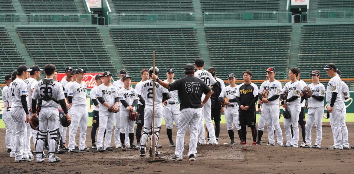 阪神 午前中に甲子園で全体練習、いよいよ今夜相手が決まる（スポニチアネックス） - Yahoo!ニュース - Yahoo!ニュース