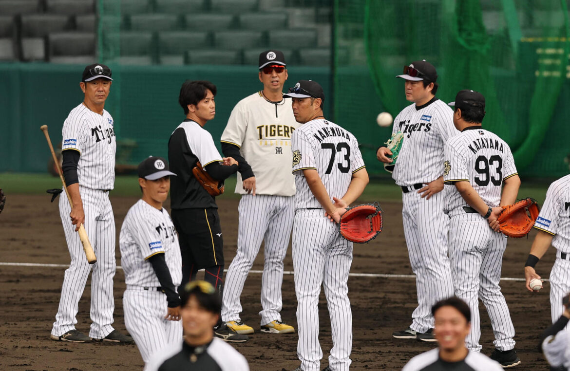 【阪神】田中コーチ「準備していて損はない」日本シリーズに向け2ランスクイズ対策など繰り返す(日刊スポーツ) – Yahoo!ニュース – Yahoo!ニュース 【阪神】田中コーチ「準備していて損はない」日本シリーズに向け2ランスクイズ対策など繰り返す(日刊スポーツ) - Yahoo!ニュース - Yahoo!ニュース