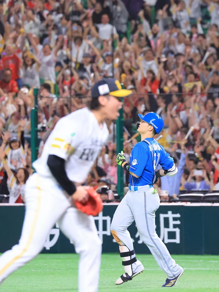 日本ハムCS敗退 達、福島、北山 光った若手先発 山県、レイエスに存在感 守備「ミス」も ファイナルステージ振り返る:北海道新聞デジタル – 北海道新聞デジタル 日本ハムCS敗退 達、福島、北山 光った若手先発 山県、レイエスに存在感 守備「ミス」も ファイナルステージ振り返る:北海道新聞デジタル - 北海道新聞デジタル