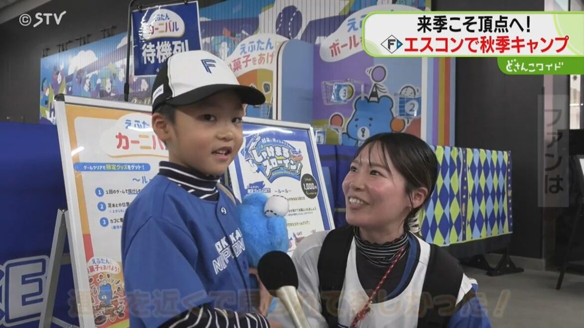 10年ぶりのリーグ優勝へ ファイターズ秋季キャンプ始まる エスコンにファン3800人!(2025年10月31日掲載)|STV NEWS NNN 共有